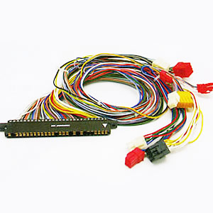 WH-013(JAMMA)