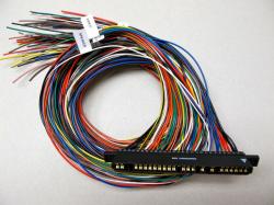 Jamma Harness